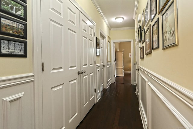 95 S Ridge Ln Unit A203, Berlin, CT 06037 - hallway featuring ornamental molding, a wainscoted wall, and dark wood-style floors