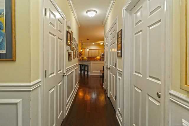 95 S Ridge Ln Unit A203, Berlin, CT 06037 - corridor with dark wood-style floors, a decorative wall, wainscoting, and ornamental molding
