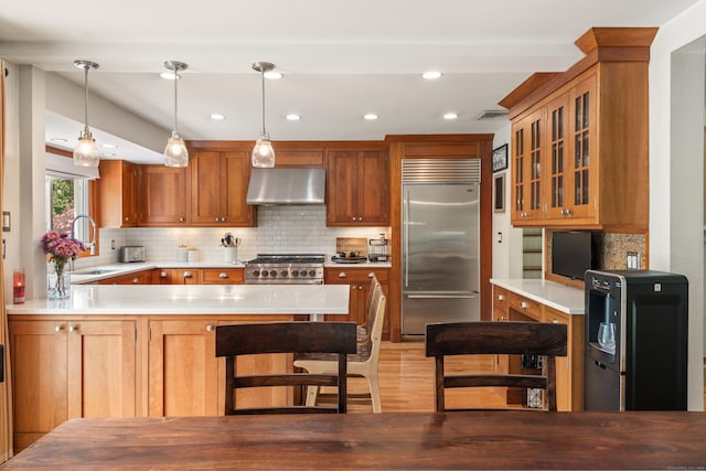 19 Huckleberry Dr S, Norwalk, CT 06850 - kitchen featuring high quality appliances, under cabinet range hood, a sink, a peninsula, and light wood-style floors