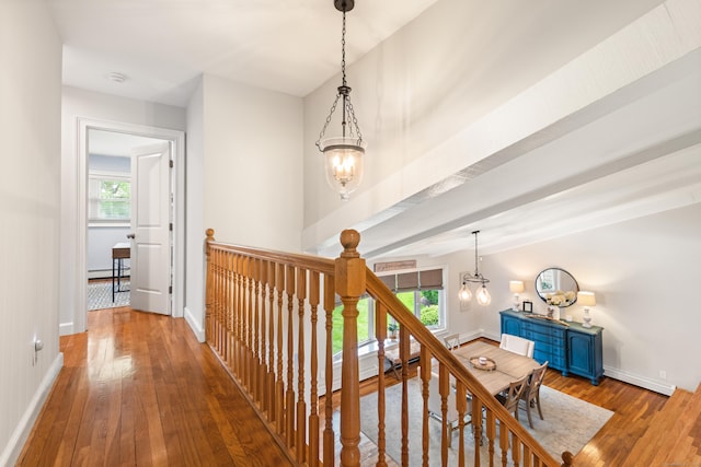19 Huckleberry Dr S, Norwalk, CT 06850 - hall featuring an upstairs landing, hardwood / wood-style flooring, and plenty of natural light