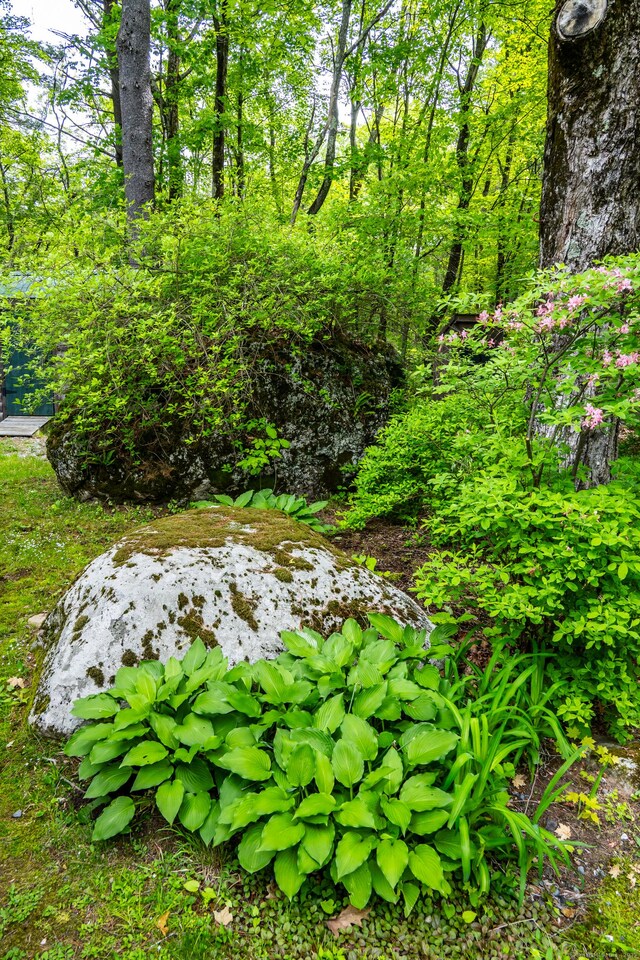 81 Milton Rd, Goshen, CT 06756 - view of nature