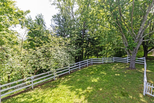 131 Spring Brook Dr, Middletown, CT 06457 - view of yard