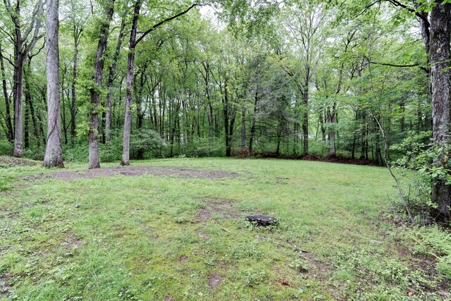 33 White Oak Ln, Woodbridge, CT 06525 - view of grassy yard featuring a forest view