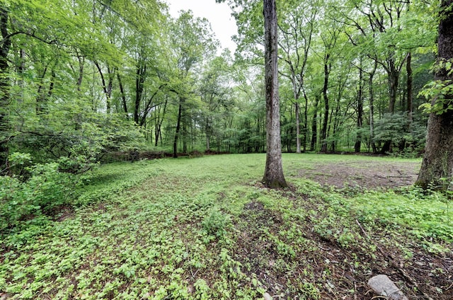 33 White Oak Ln, Woodbridge, CT 06525 - view of yard featuring a wooded view