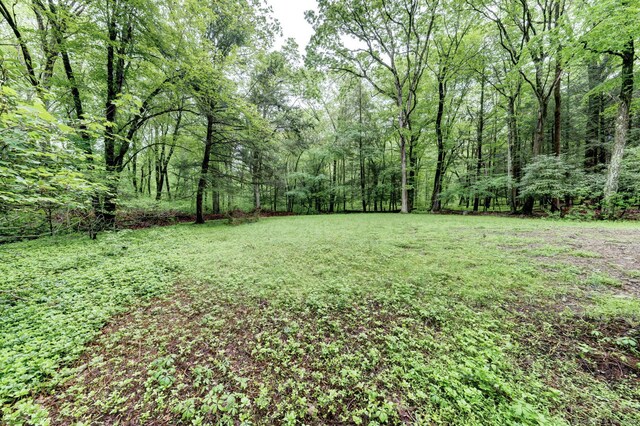 33 White Oak Ln, Woodbridge, CT 06525 - view of grassy yard featuring a forest view