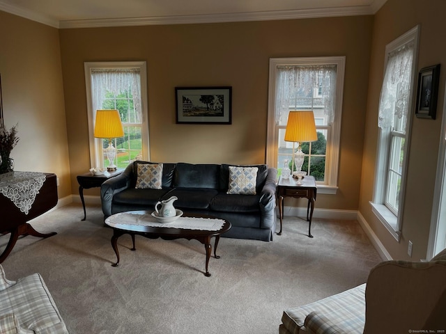 37 Ellsworth Ln, Ellington, CT 06029 - living area with carpet floors, baseboards, and crown molding