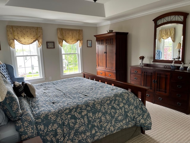 37 Ellsworth Ln, Ellington, CT 06029 - bedroom with crown molding, carpet, and a raised ceiling