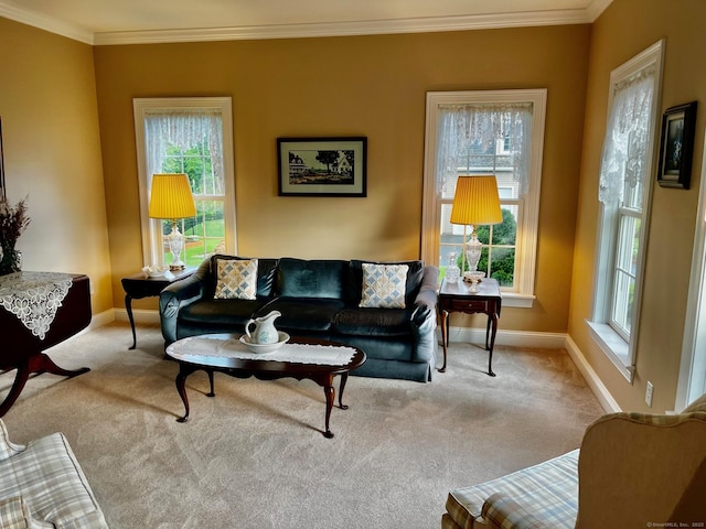 37 Ellsworth Ln, Ellington, CT 06029 - living room featuring plenty of natural light, carpet flooring, and ornamental molding