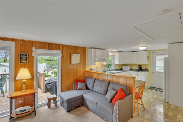 124 Deepwood Dr, Hebron, CT 06231 - living room featuring plenty of natural light and wooden walls