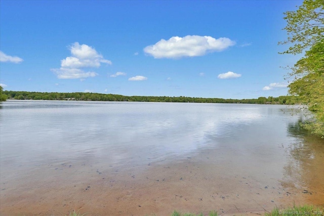 124 Deepwood Dr, Hebron, CT 06231 - water view featuring a forest