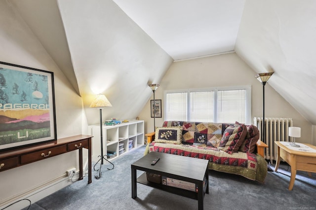 222 N Beacon St, Hartford, CT 06105 - carpeted living area featuring radiator heating unit and vaulted ceiling