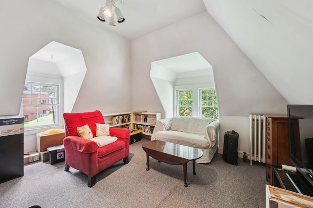 222 N Beacon St, Hartford, CT 06105 - living room with radiator, lofted ceiling, carpet, and plenty of natural light
