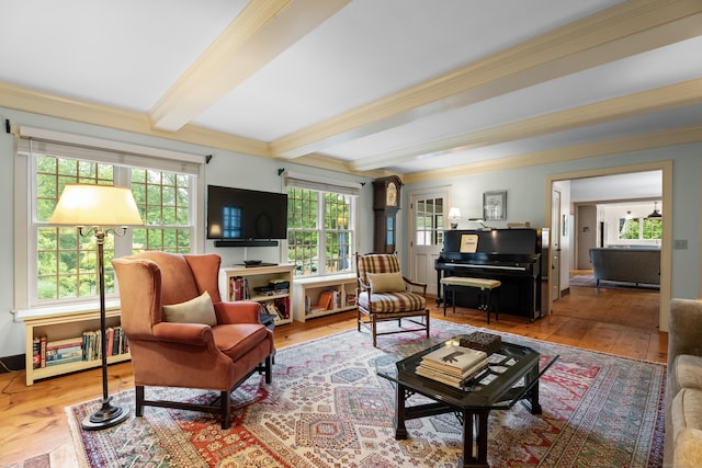 7 Shelter Rock Rd, East Haddam, CT 06423 - living area featuring beam ceiling, hardwood / wood-style flooring, and ornamental molding