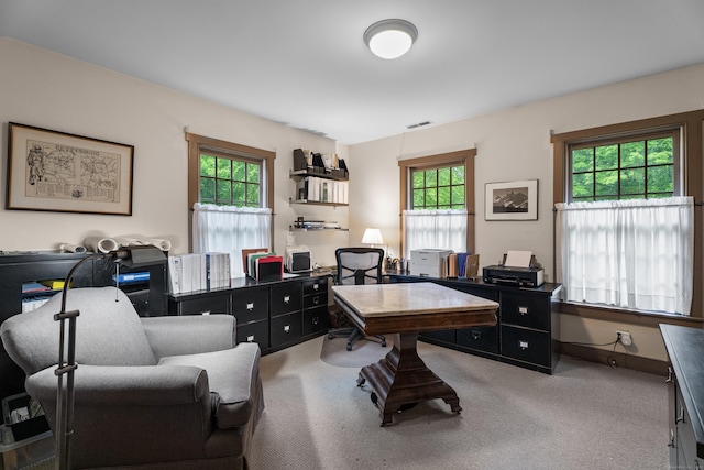 7 Shelter Rock Rd, East Haddam, CT 06423 - carpeted office space with healthy amount of natural light