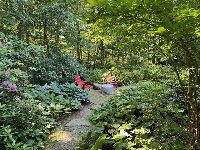 7 Shelter Rock Rd, East Haddam, CT 06423 - view of yard with a fire pit