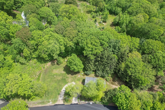 205 Allentown Rd, Plymouth, CT 06786 - drone / aerial view of a heavily wooded area