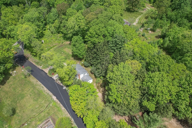 205 Allentown Rd, Plymouth, CT 06786 - aerial view of a heavily wooded area