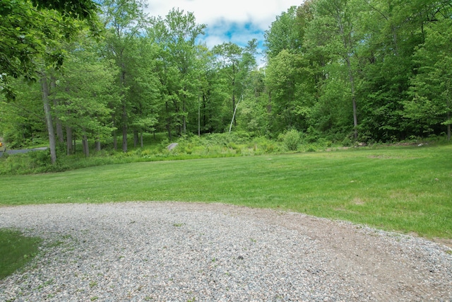 205 Allentown Rd, Plymouth, CT 06786 - view of green lawn
