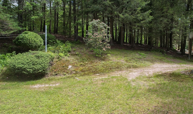 205 Allentown Rd, Plymouth, CT 06786 - view of yard with a view of trees