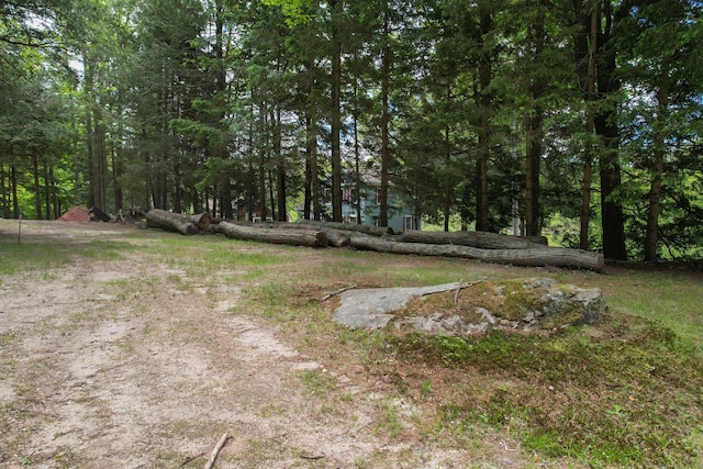 205 Allentown Rd, Plymouth, CT 06786 - view of yard with a forest view