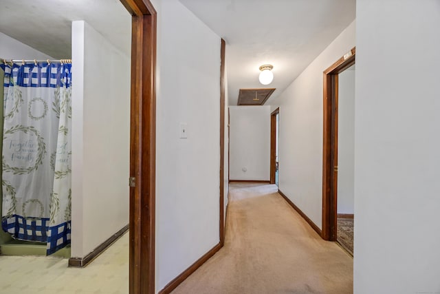 205 Allentown Rd, Plymouth, CT 06786 - corridor featuring light colored carpet and baseboards
