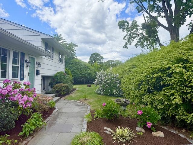 12 Sugar Plum Ln, Fairfield, CT 06824 - view of green lawn