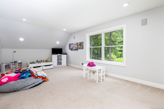 6 Anja Dr, Simsbury, CT 06070 - photo 24