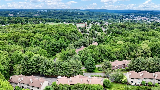 489 Wolcott St Apt 42, Bristol, CT 06010 - aerial view of residential area with a heavily wooded area