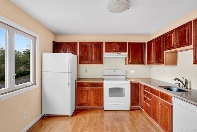 489 Wolcott St Apt 42, Bristol, CT 06010 - kitchen featuring white appliances, under cabinet range hood, a sink, light wood-style flooring, and dark brown cabinets