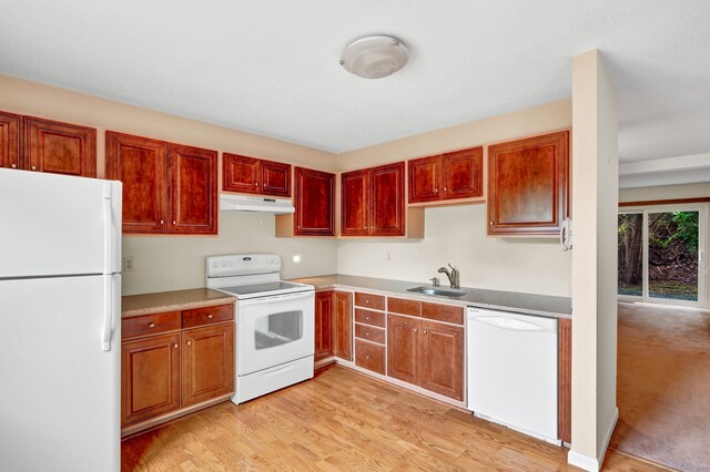489 Wolcott St Apt 42, Bristol, CT 06010 - kitchen featuring white appliances, under cabinet range hood, a sink, and light wood finished floors