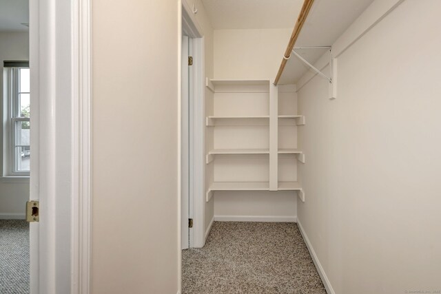 107 Ferry Ct Unit 107, Stratford, CT 06615 - walk in closet featuring carpet floors