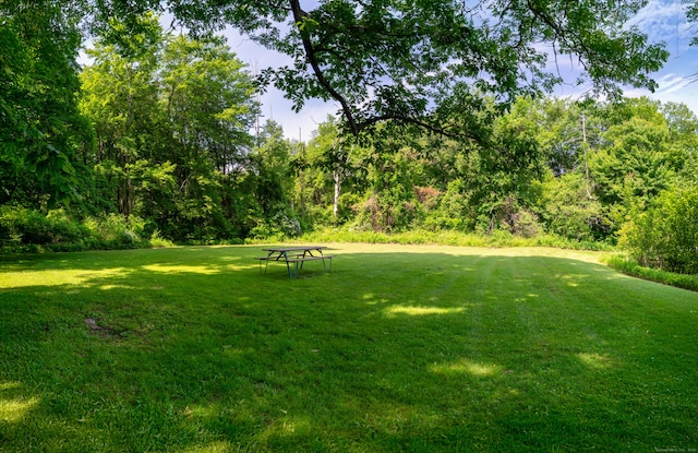 62 Wheeler Hill Dr, Durham, CT 06422 - view of green lawn