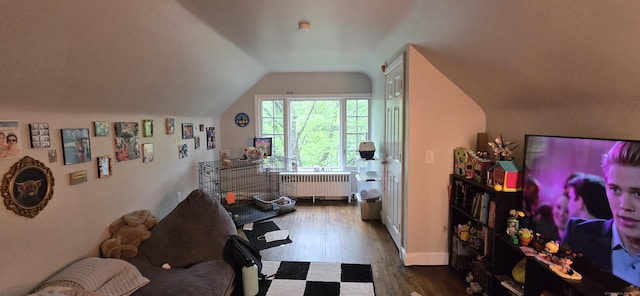 230 Winsted Rd, Torrington, CT 06790 - bedroom with radiator, dark wood finished floors, vaulted ceiling, and baseboards
