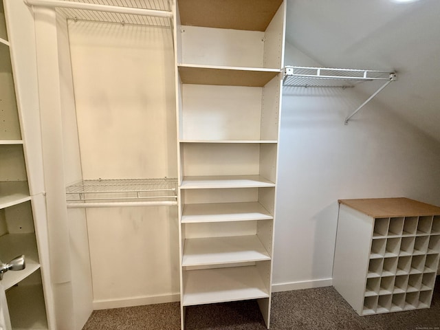 102 Beard Dr Unit 102, New Milford, CT 06776 - walk in closet with carpet flooring