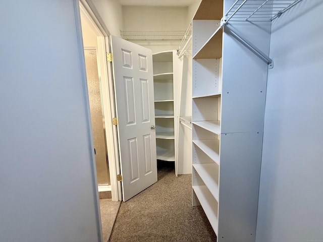 102 Beard Dr Unit 102, New Milford, CT 06776 - spacious closet featuring carpet flooring