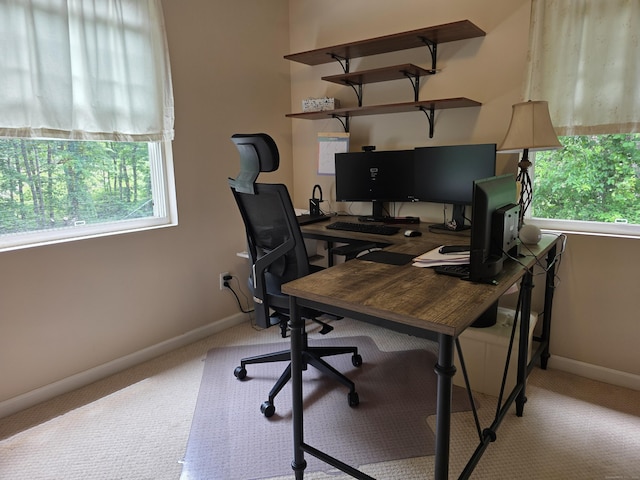 141 Grove St, Shelton, CT 06484 - home office with carpet floors