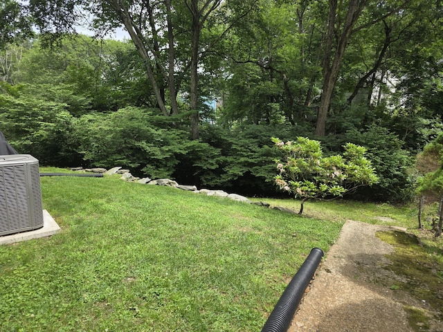 141 Grove St, Shelton, CT 06484 - view of green lawn