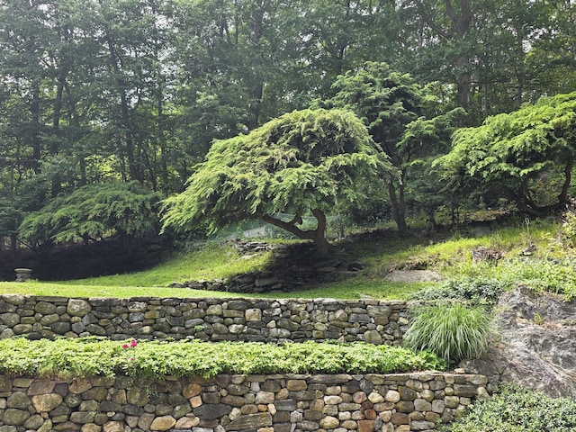 141 Grove St, Shelton, CT 06484 - view of yard