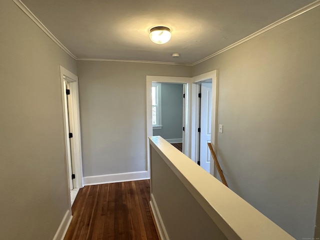1188 Worthington Rdg, Berlin, CT 06037 - corridor with dark wood finished floors, an upstairs landing, ornamental molding, and baseboards