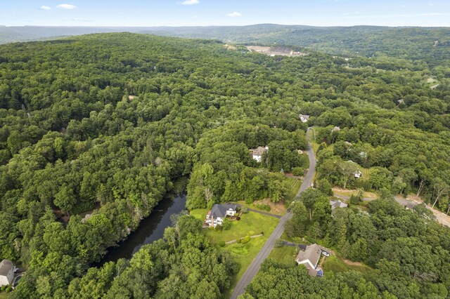 35 Pleasant Dr, Southbury, CT 06488 - photo 32