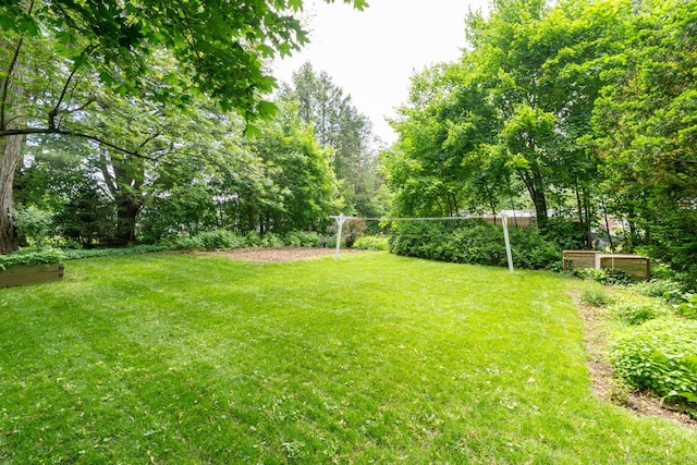 216 Belleview Ave, Southington, CT 06489 - view of grassy yard