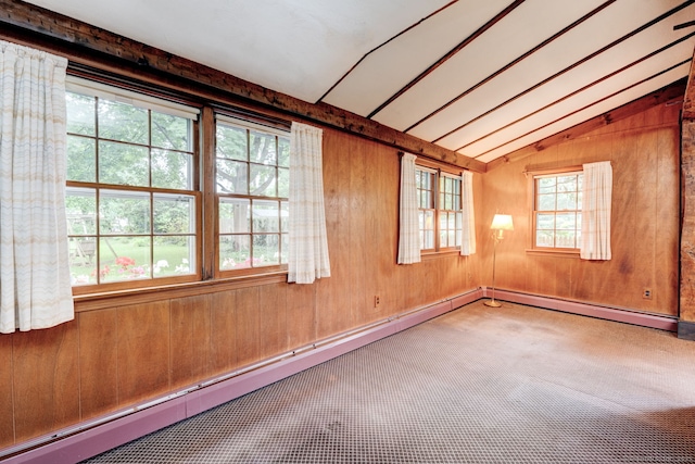 216 Belleview Ave, Southington, CT 06489 - carpeted spare room featuring lofted ceiling, healthy amount of natural light, and wooden walls