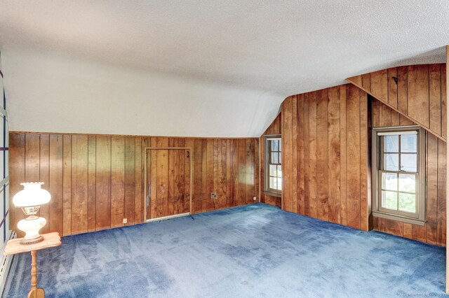 216 Belleview Ave, Southington, CT 06489 - additional living space with lofted ceiling, wooden walls, carpet, and a textured ceiling
