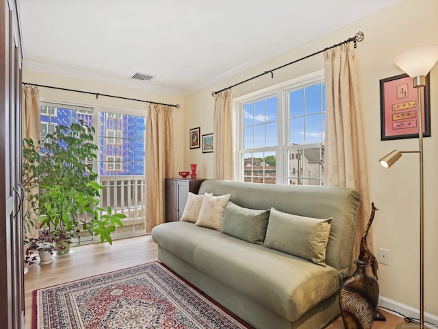 19 Isaacs St Apt 307, Norwalk, CT 06850 - living room featuring wood finished floors and ornamental molding
