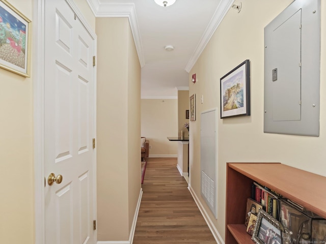 19 Isaacs St Apt 307, Norwalk, CT 06850 - hall with electric panel, ornamental molding, wood finished floors, and baseboards