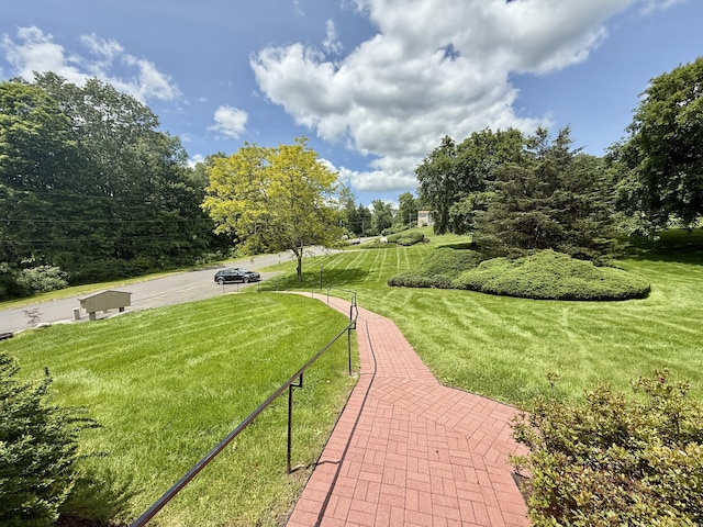 14 Arrowhead Way Apt C1, Woodbury, CT 06798 - view of green lawn