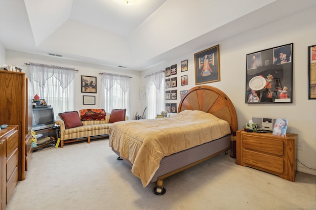 63 Old Cider Mill Rd, Southington, CT 06489 - bedroom featuring light colored carpet and a tray ceiling