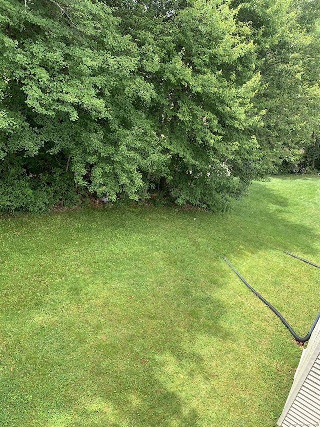 58 Amanda Cir, Windsor, CT 06095 - view of grassy yard