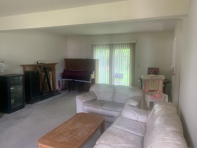 58 Amanda Cir, Windsor, CT 06095 - living room featuring carpet floors