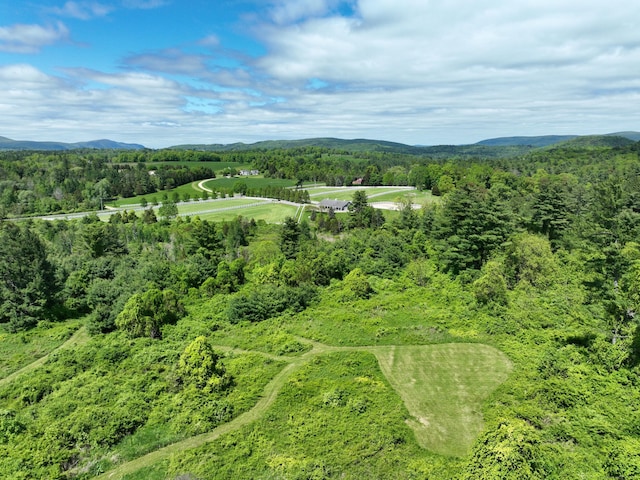 10 Red Mountain Rd, Salisbury, CT 06039